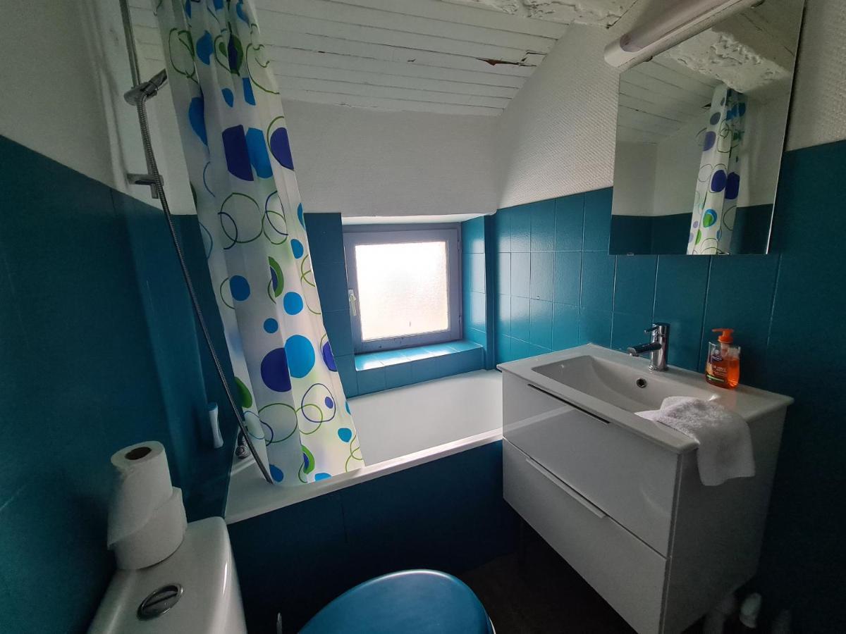 Apartament Les Cosy De Nancy - Le Duplex Aux Flammants Roses - 4Etoiles Zewnętrze zdjęcie